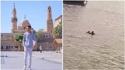 في نهار رمضان.. شاب يروي تفاصيل إنقاذه مسنا سقط من المعدية في الأقصر: داخ ووقع