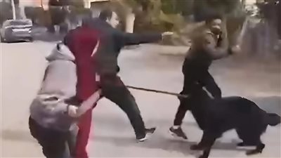 إخلاء سبيل المتهمين الأربعة في واقعة سيدة الساطور بالمنوفية.. وحجز الدعوى للحكم