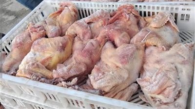 ضبط أكثر من ربع طن دجاج ومشتقاته بدون بيانات صلاحية في الإسكندرية