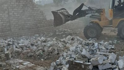 إزالة 1446 حالة تعدٍ على الأراضي الزراعية ضمن الموجة 28 في بني سويف