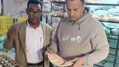 ضبط 11 مخبزا لإنتاج الخبز ناقص الوزن وعدم نظافة أدوات العجين خلال حملات تموينية بالبحيرة