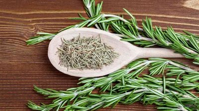 من أهم فوائد عشبة الروزماري معالجة جميع البشرة