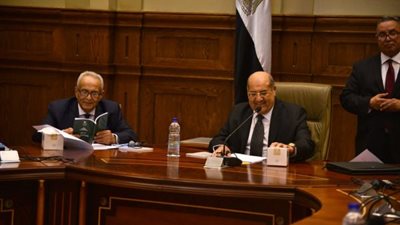 اختيار “السباعي” متحدثًا إعلاميًا و”نجاتي” سياسيًا لـ”الشيوخ” (خاص)