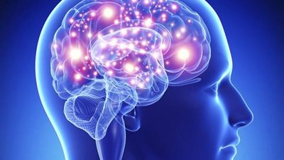 تعديل الخلايا الجنينة للدماغ تقلل خطر الإصابة بمرض الزهايمر (دراسة)