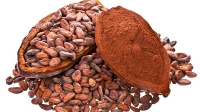 تعرف على فوائد الكاكاو في علاج الفشل الكلوي (دراسة)