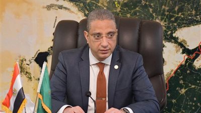 محافظ الفيوم: تأجيل مهرجان “تونس” للخزف والفخار احترازًا من “كورونا”