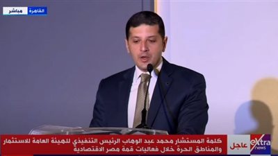عبد الوهاب: مصر حافظت على مركزها الإفريقي الأول في جذب الاستثمارات الأجنبية