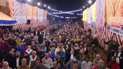 3 مرشحين يعلنون تحالفًا انتخابيًا أمام الطنطاوي وأولاد العم بكفر الشيخ (صورة)