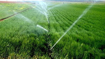 وزير الري: “الفلاح هيروي أرضه من البيت بالموبايل خلال 6 شهور”