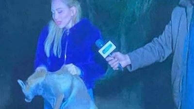 نقابة الأطباء البيطريين تستنكر الترويج لصيد الحيوانات البرية في برنامج ريهام سعيد