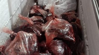 الرقابة التموينية تضبط لحوم سوداني فاسدة بأحد الثلاجات بطريق الدائري بالفيوم