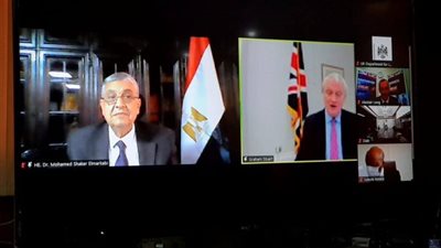 وزير الكهرباء يشارك في أول ندوة وزارية افتراضية بين المملكة المتحدة وإفريقيا حول الطاقة المتجددة