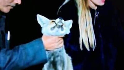 ريهام سعيد لمنتقديها: “عرفتوا منين إن رجل الثعلب اتكسرت؟.. عملتوا أشعة؟!”