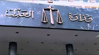 قاضى التحقيق يصدر قراراً برفع التحفظ وإلغاء منع من السفر لأعضاء 20 منظمة من المجتمع المدنى (الأسماء)