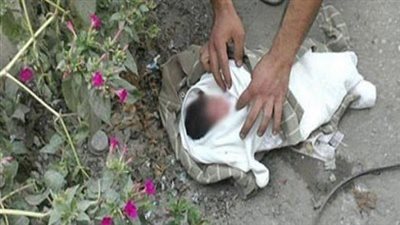 أكل كلب جزءًا من رأسه.. العثور على جثة طفل حديث الولادة في كفر الشيخ 