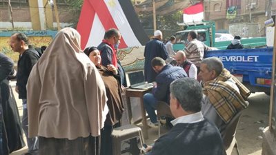 السيدات يتصدرن المشهد الانتخابي بالقليوبية (صور)