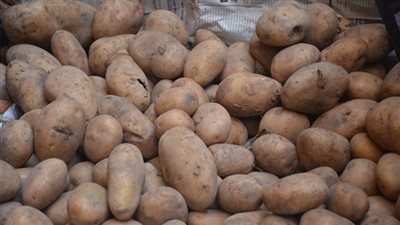 ماذا يحدث لجسمك عند تناول البطاطس؟