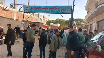 انتخابات الإسماعيلية.. كبار السن والنساء يتصدرون المشهد لليوم الثاني (صور)