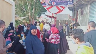 كبار السن والسيدات يتصدرون المشهد في إعادة النواب بكفر الشيخ (صور)