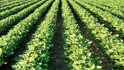 مبادرة من 10 بنود للنهوض بقرى مركز أشمون بالمنوفية