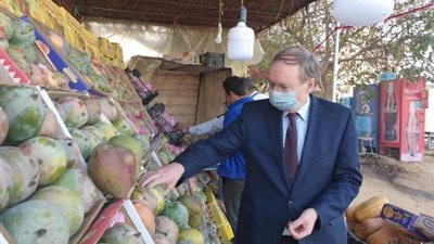 “المانجو الإسمعلاوي” يجذب سفير الاتحاد الأوروبي خلال عودته من الإسماعيلية (صور)
