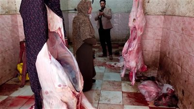 ضبط مجزر غير مرخص ولحوم فاسدة داخل عقار سكني بكفر الشيخ