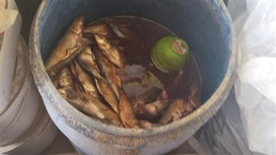 الزراعة تضبط 4.3 طن من اللحوم والأسماك المخالفة.. وتحرر 17 محضرًا خلال أيام عيد الفطر