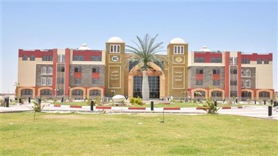 التضامن تسدد المصروفات الدراسية لـ 813 طالبا بجامعة الوادي الجديد