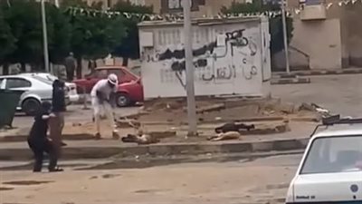 عمود كهرباء يصعق كلابًا بالعاشر من رمضان بسبب سوء الأحوال الجوية | فيديو
