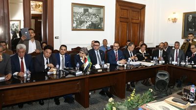 البدوي: نتواصل مع عدد من الوفديين المفصولين لعودتهم ونسعى لـ فتح مقرات بيت الأمة المُغلقة بالمحافظات