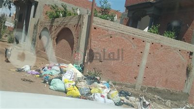 مش بيدخلوا الشوارع الجانبية.. استغاثة أهالي دلهمو بالمنوفية بسبب تراكم القمامة وسوء خدمات النظافة