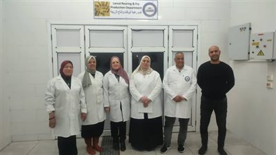 لأول مرة.. إنجاز علمي جديد في الاستزراع البحري ينجح في تفريخ أسماك البوري صناعيًا
