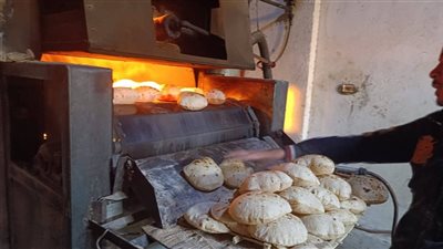 ضبط 18 مخبزا بلديا لإنتاج خبز ناقص الوزن وبيع الدقيق المدعم بالسوق السوداء بالبحيرة