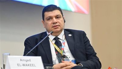 أمجد الوكيل: الطاقة النووية خيار استراتيجي لمواجهة تقلبات أسواق الوقود.. ومشروع الضبعة ركيزة أمن الطاقة بمصر