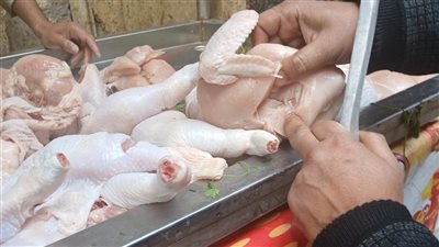 ضبط لحوم ودواجن غير صالحة وطن ردة مجهولة المصدر بالغربية