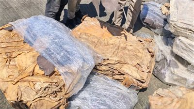 ضبط محاولة تهريب كمية من جلود الأبقار والجاموس والحمير بجمارك دمياط 
