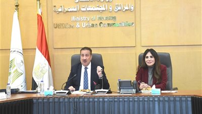 وزيرة الإسكان ومحافظ بورسعيد يبحثان مشروعات الإسكان والمرافق بالمحافظة