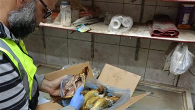 قبل شم النسيم وعيد القيامة.. ضبط 35 كيلو دواجن ومصنعات لحوم غير صالحة بأسوان