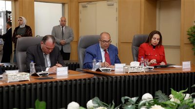 محمود محيي الدين: ربط الابتكار الأخضر بالتمويل مفتاح نجاح المشروعات الذكية