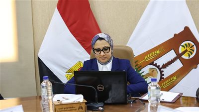 سباق نحو الاستدامة.. انطلاق المرحلة الرابعة للمشروعات الخضراء الذكية بالوادي الجديد