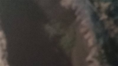 النار لم تصل إلى الجثامين.. حقيقة فيديو عن إشعال النار في مقبرة بأسوان