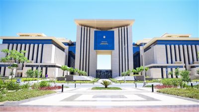 مصر تدين مقتل وزير الدفاع المالي إثر هجمات إرهابية