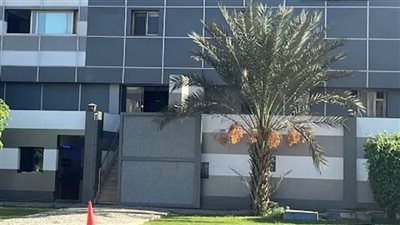 تقرير لجنة الخبراء: 10.6 مليون جنيه إجمالي المبالغ المستولى عليها من مصنع الأمين للجيلاتين 