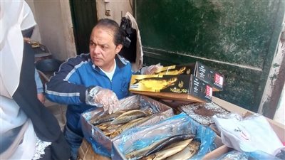 قبل أعياد الربيع.. ضبط 3.5 طن أسماك ولحوم ودواجن غير صالحة للاستهلاك الآدمي بالغربية 