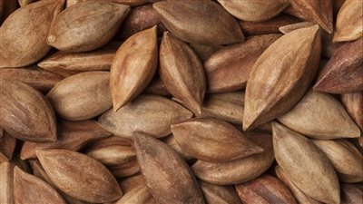 تعرف على فوائد مكسرات بيلي الصحية والغذائية لصحة القلب ومكافحة الأمراض
