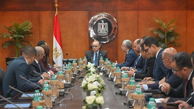  وزير الاستثمار يبحث مع وفد مايكروسوفت سبل تعزيز الاستثمارات
