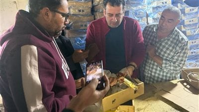 استعدادًا لشم النسيم.. إحباط ترويج 4 أطنان رنجة مشتبه في عدم صلاحيتها قبل وصولها للمواطنين بالغربية