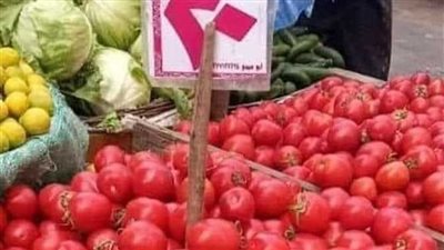 العداية تخطت الألف.. أسعار الطماطم اليوم السبت 11 أبريل 2026 في سوق العبور