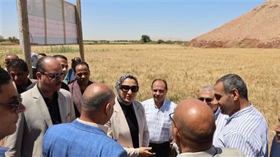 محافظ الوادي الجديد تتابع نتائج تجربة إكثار أصناف القمح عالية الجودة بالتعاون مع هيئة الطاقة الذرية