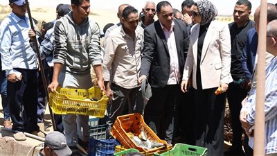 محافظ الوادي الجديد تتفقد مشروعي الاستزراع السمكي والصوب الزراعية بالداخلة